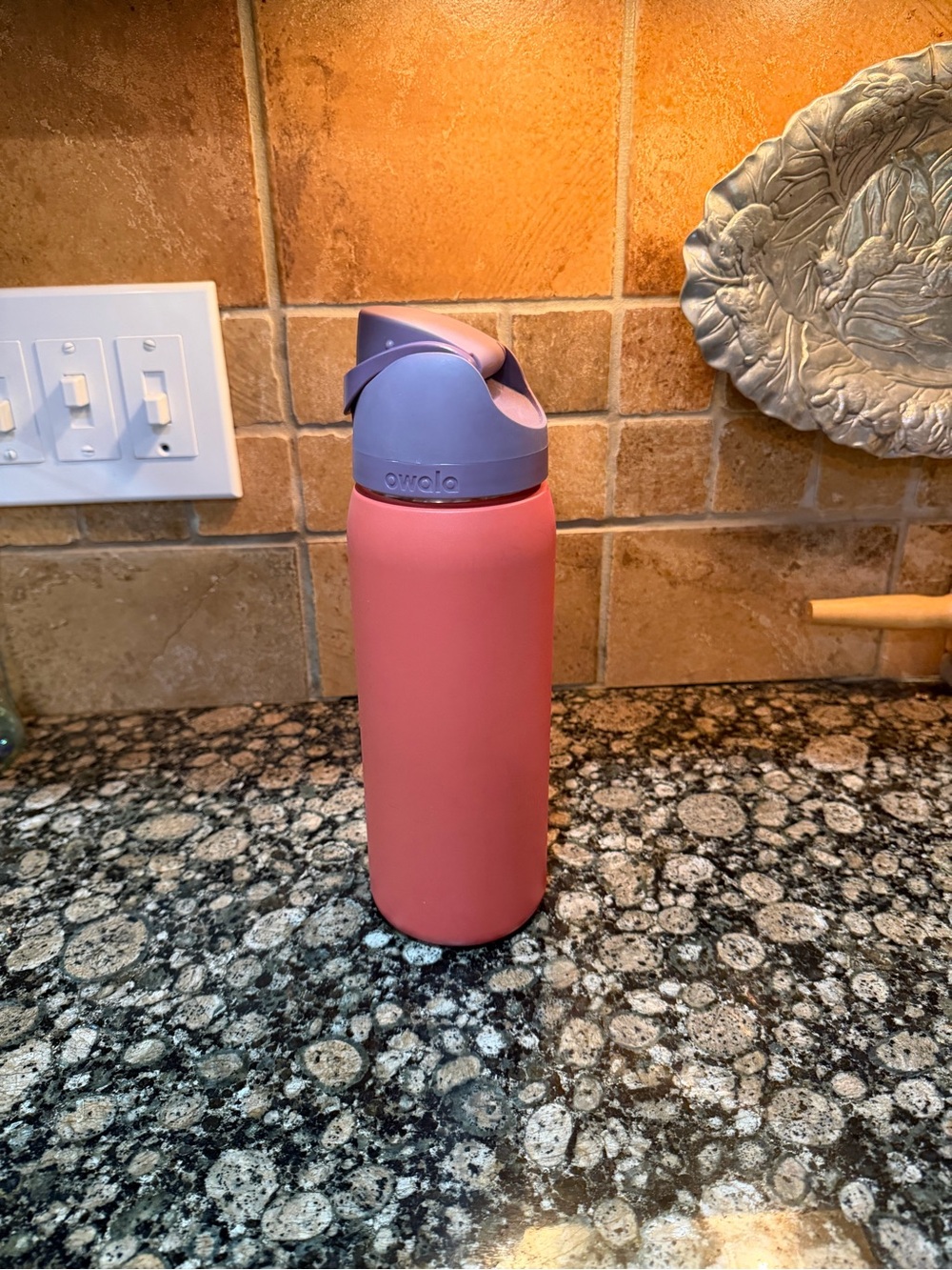 Owala Lavender / dusty rose Stainless Steel Water Bottle - 32 ounces